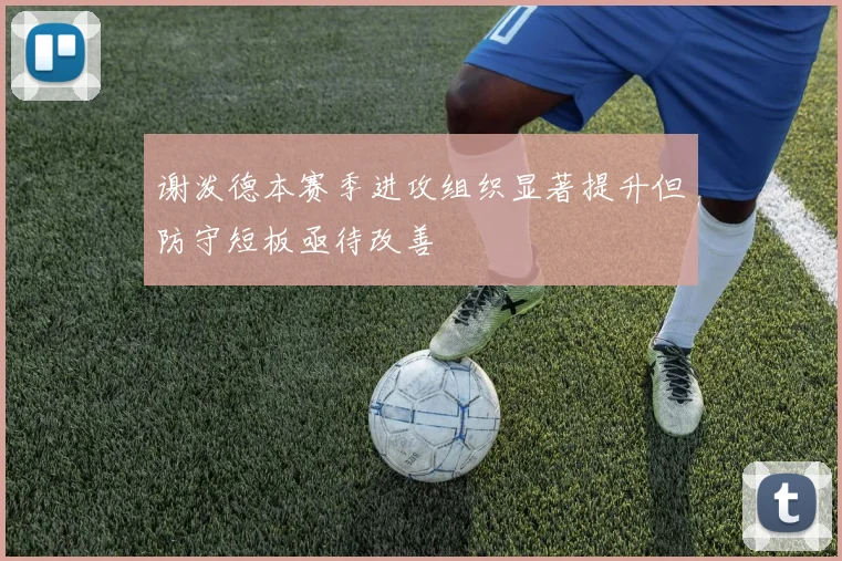 谢泼德本赛季进攻组织显著提升但防守短板亟待改善
