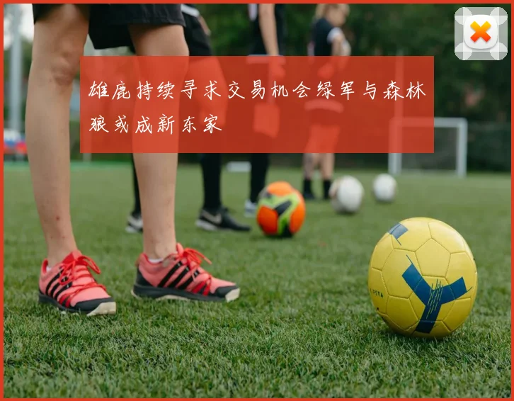 雄鹿持续寻求交易机会绿军与森林狼或成新东家