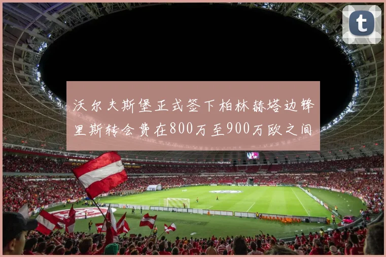 沃尔夫斯堡正式签下柏林赫塔边锋里斯转会费在800万至900万欧之间